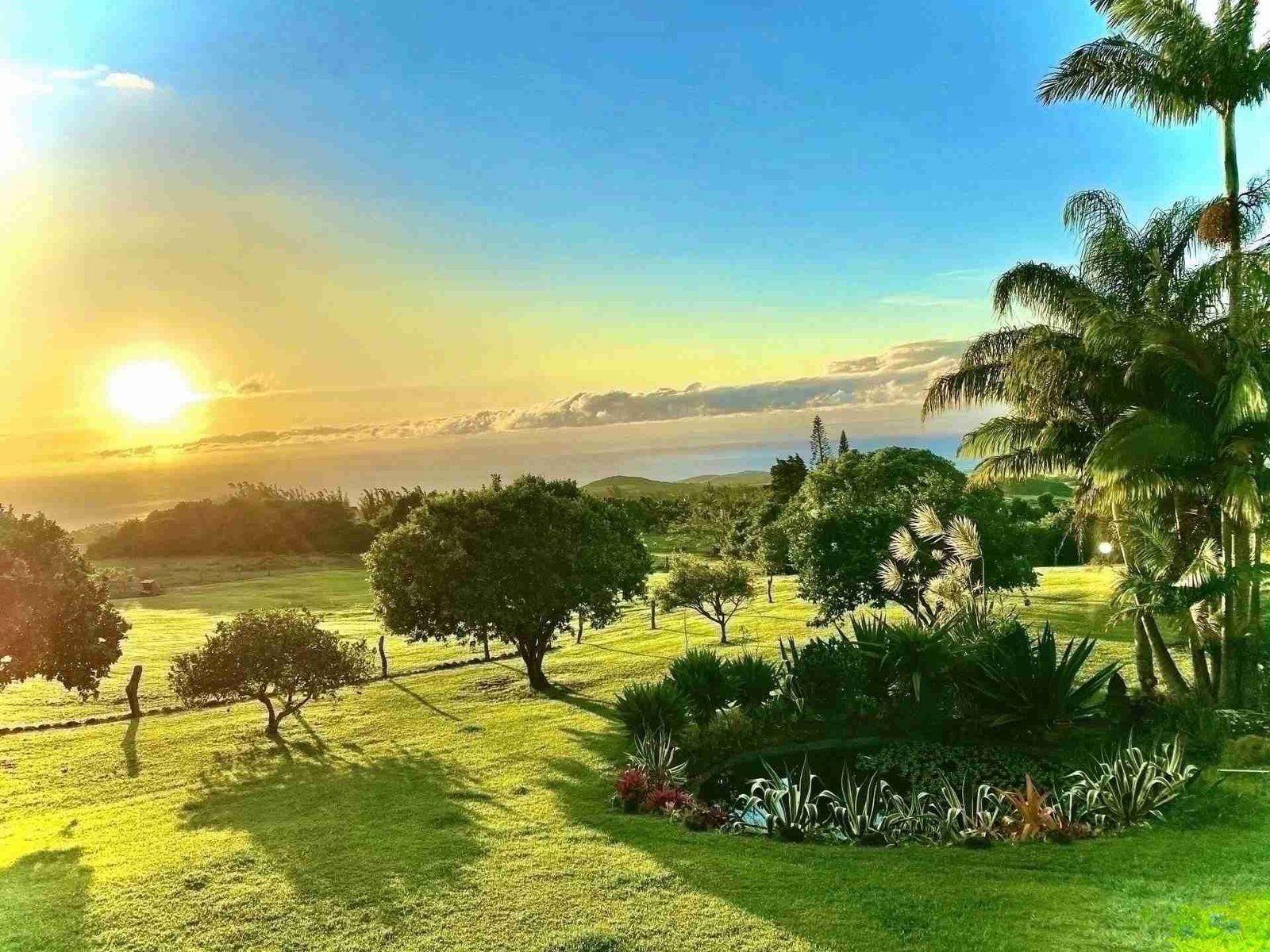 Always In Season Farmstead in Hawaii