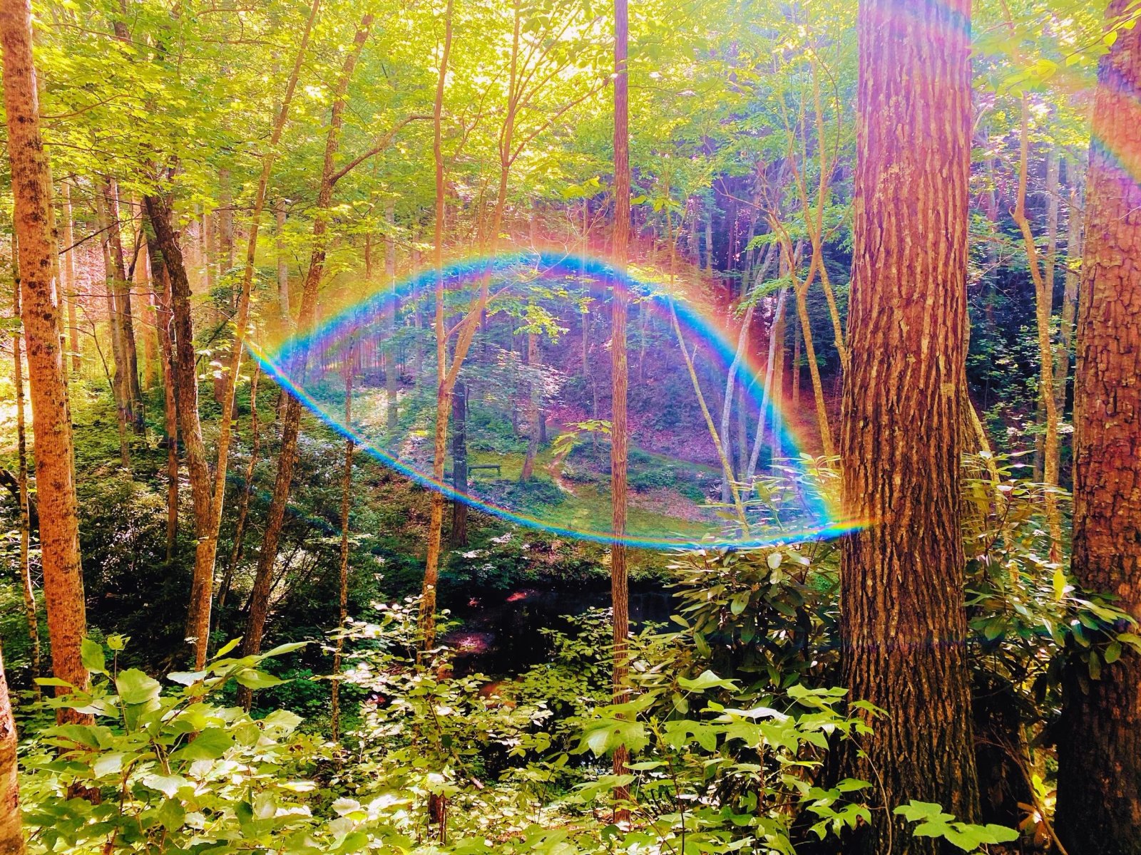 Finding Solace Through Yoga: A Path to Overcoming Grief