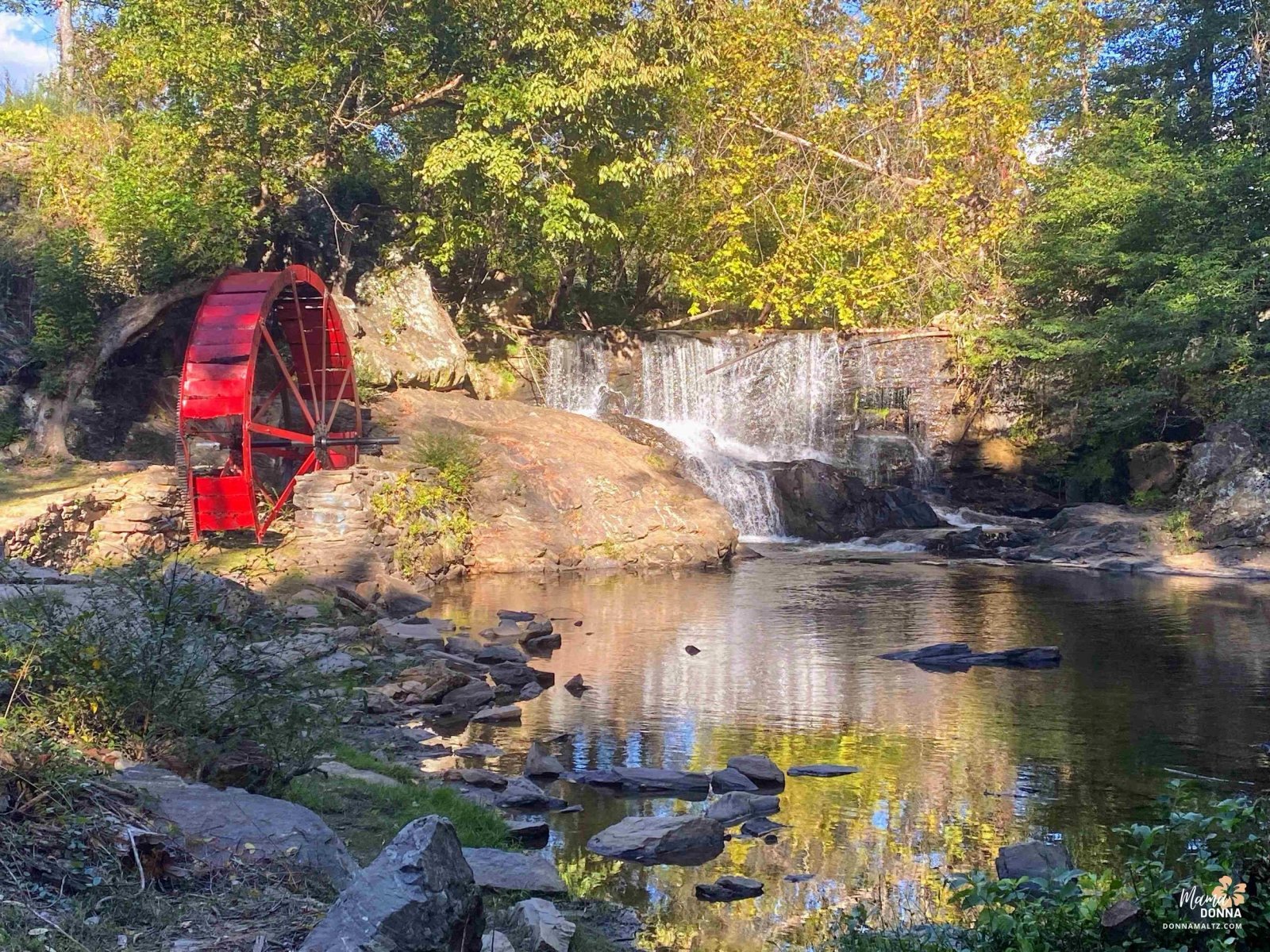 🌎 4 Benefits of Connecting with Nature