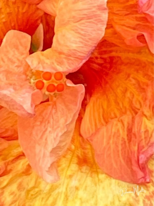 A Drive Through Fall (13).png