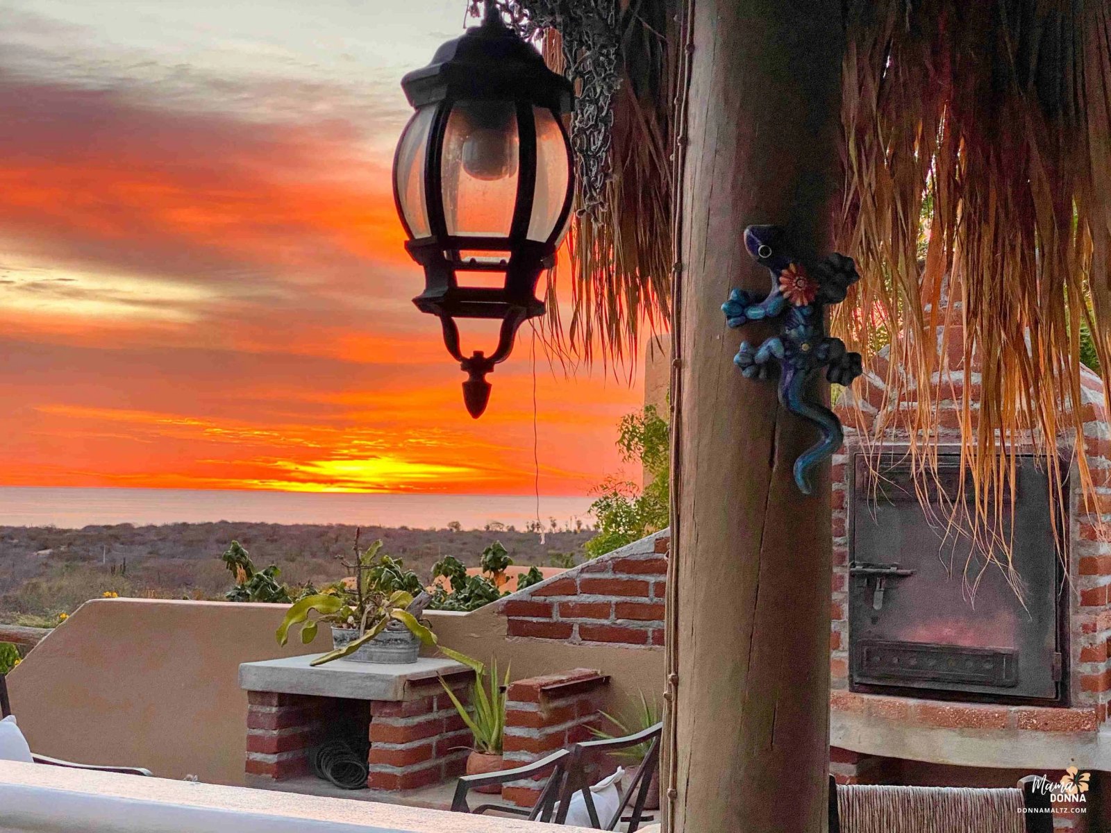 A Journey to Detoxify Your Mind, Body, and Soul