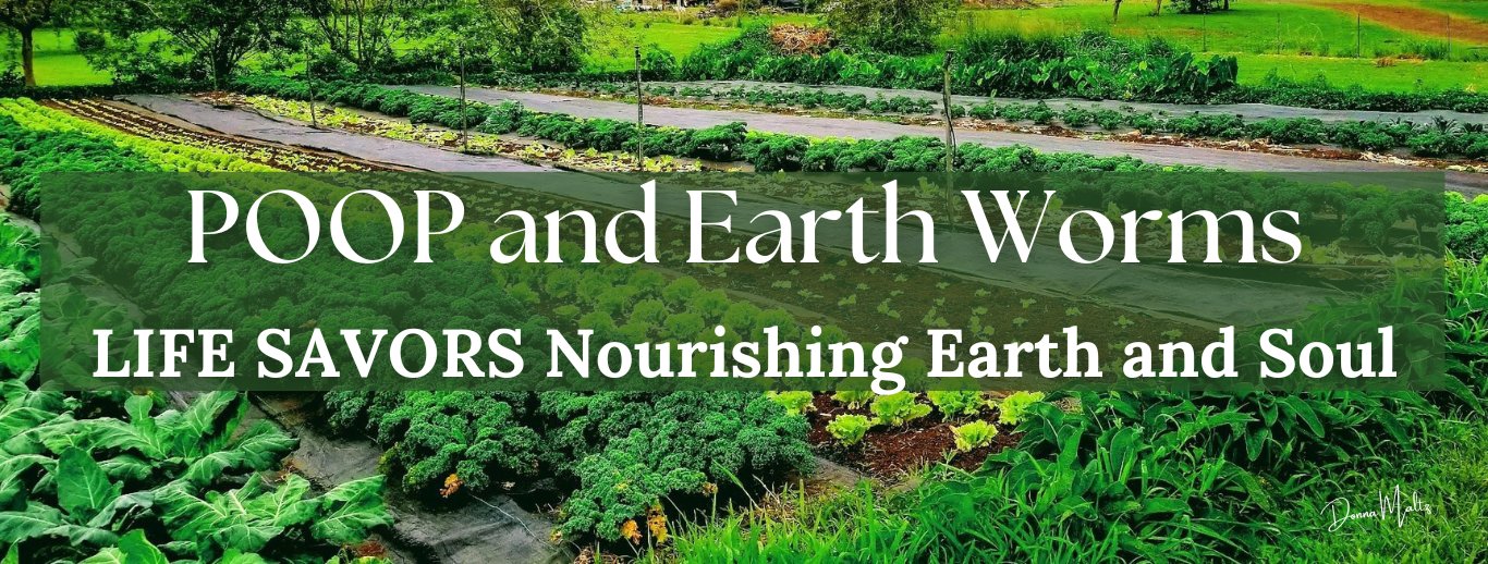 Soil Health and the Transformative Process of Composting