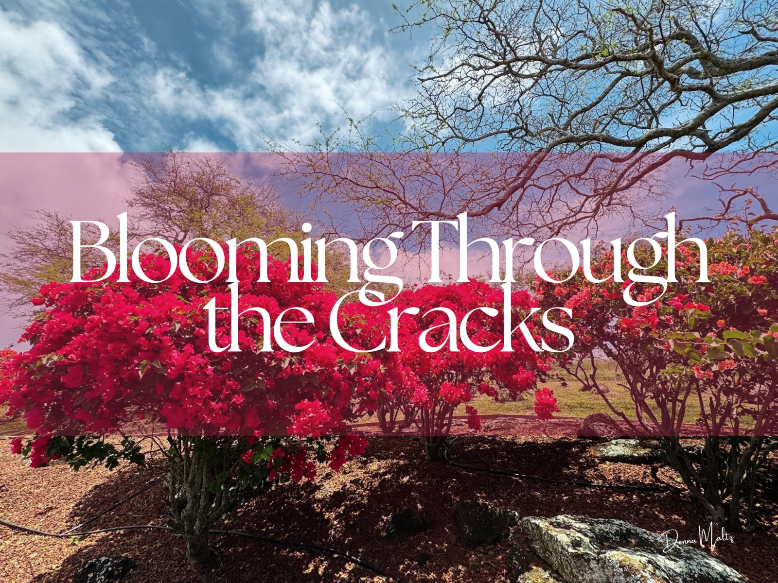 Finding New Opportunities to Overcome Obstacles