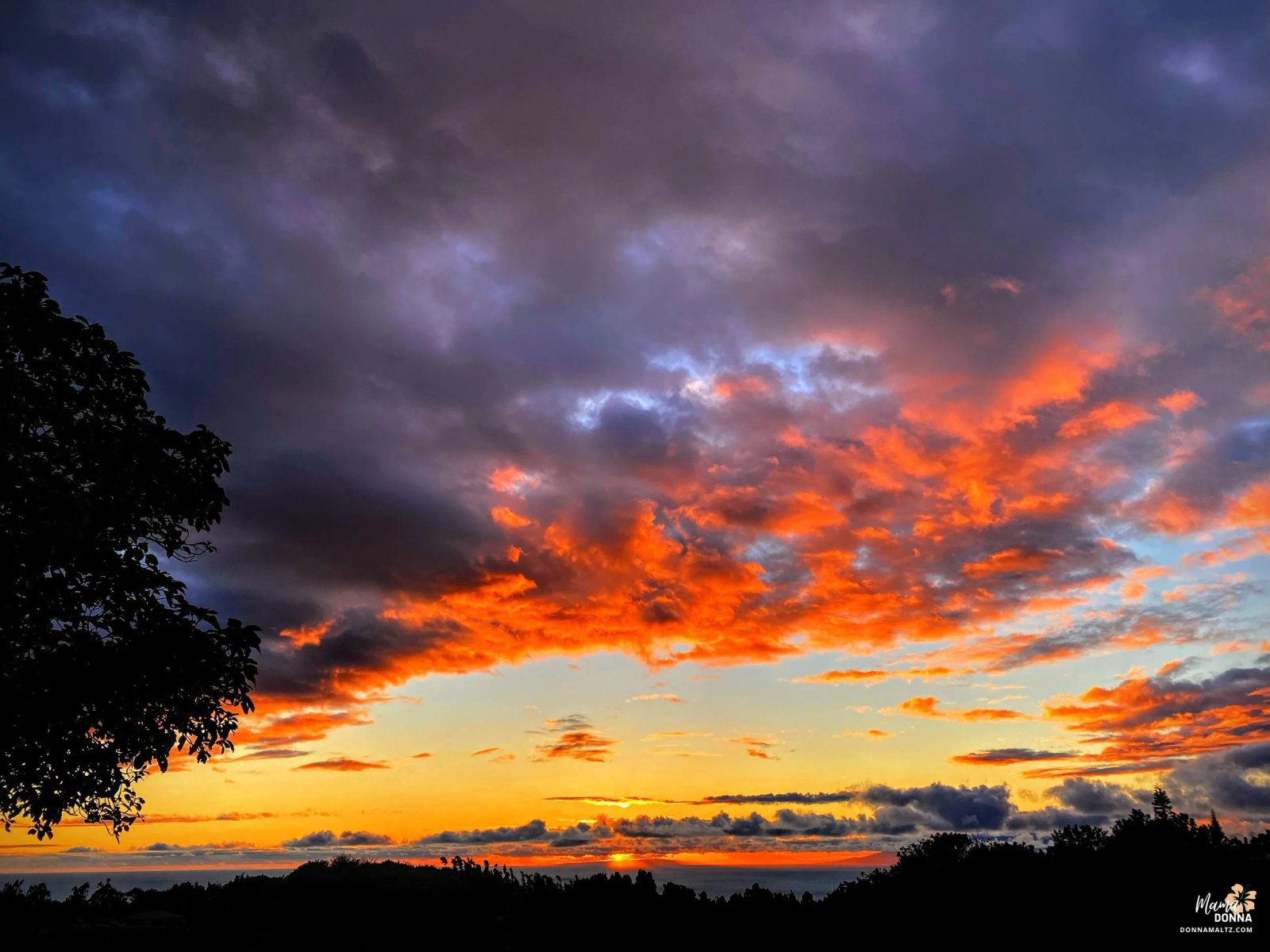 🙌 Dealing With Anxiety In Today’s Turbulent World