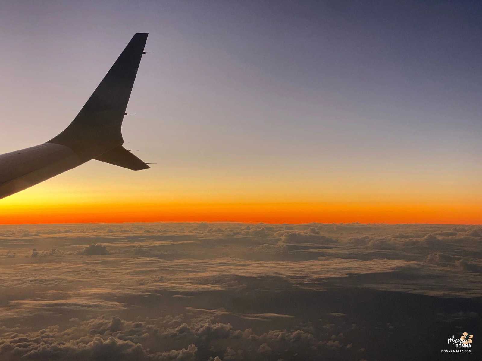 Embracing Ayurveda: A Journey to Wellness🍃