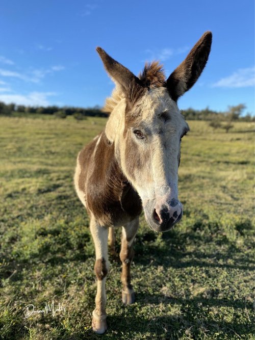 Ecospired Products (10).png