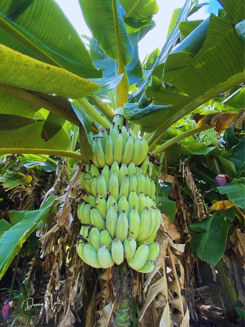 Ecospired Products (3).png