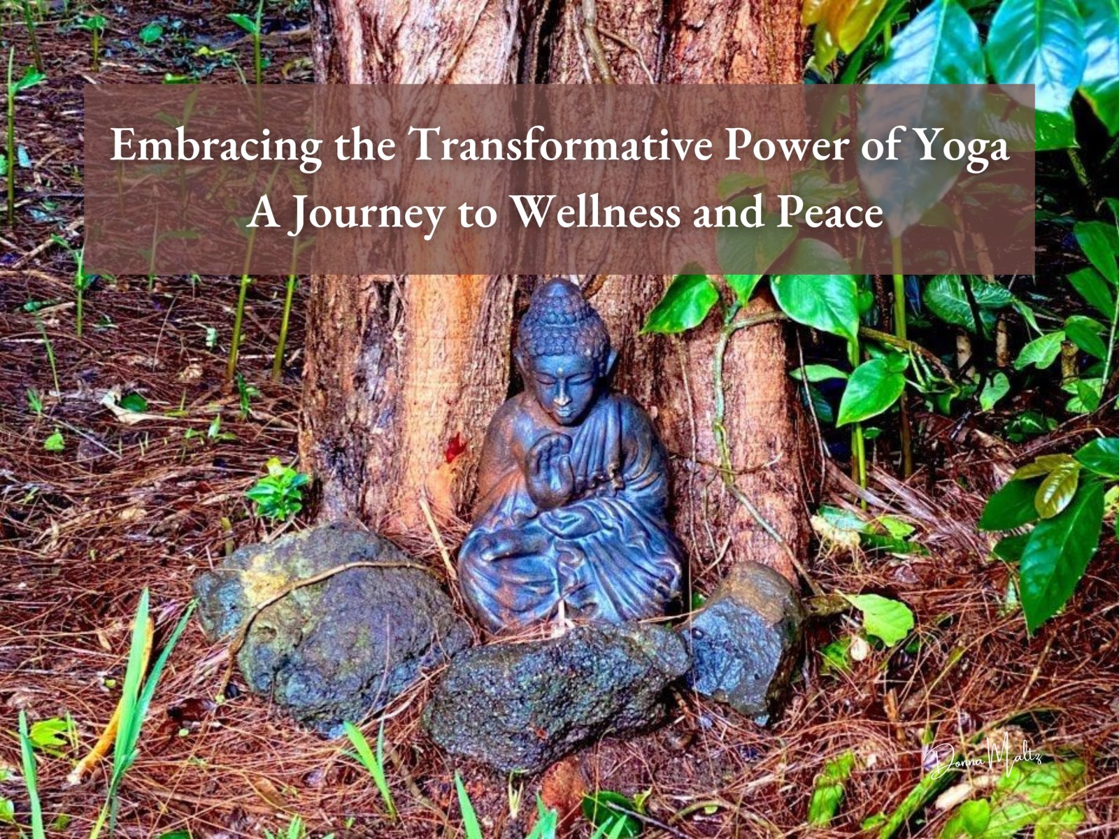 Embracing the Transformative Power of Yoga 🙏🏽 A Journey to Wellness and Peace