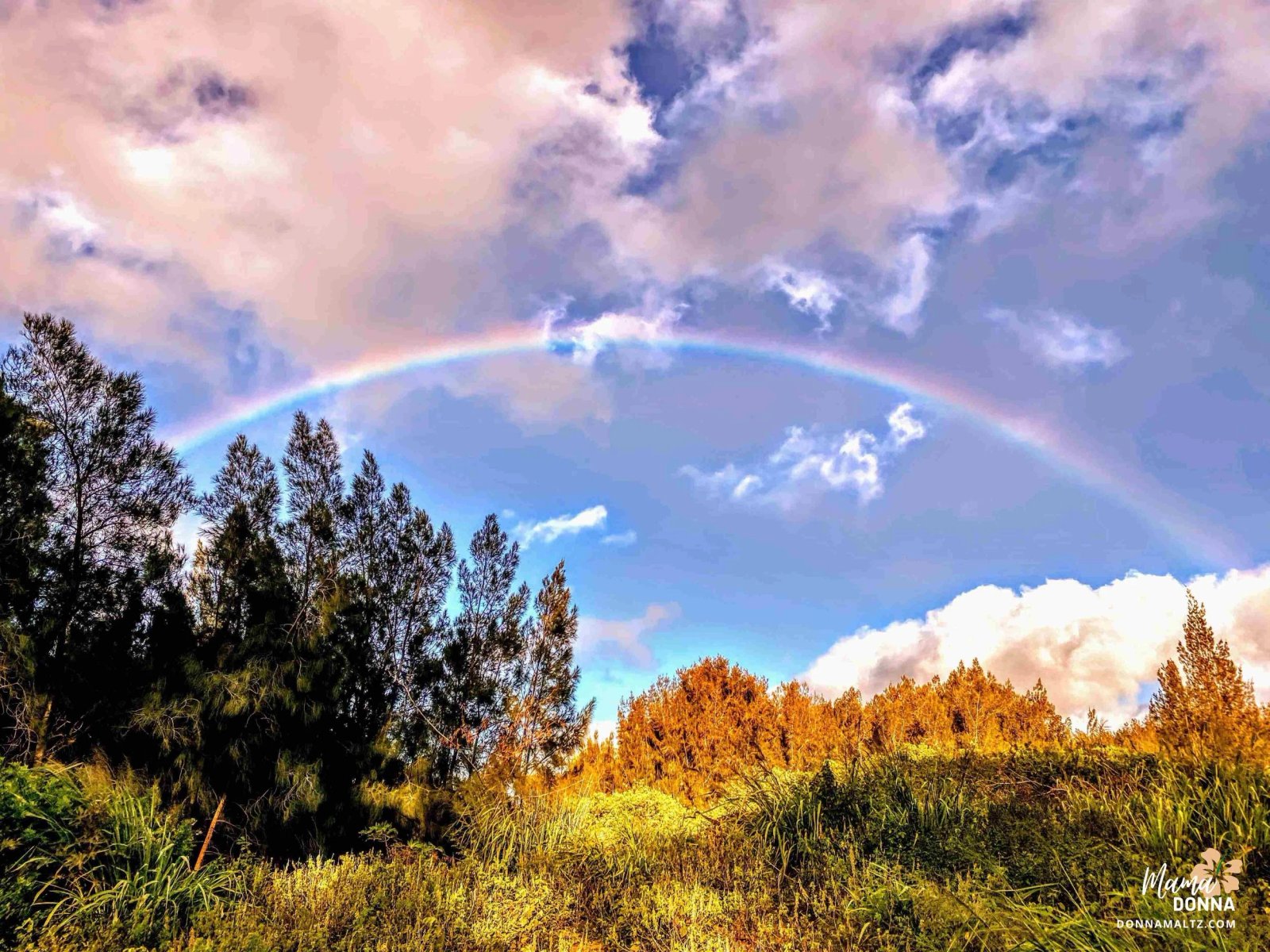 ✨Solstice Blessing and Tips to Shine Through the Holidays✨