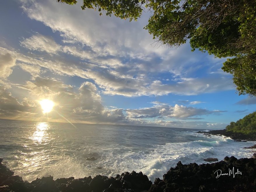 Holiday Card (16).png