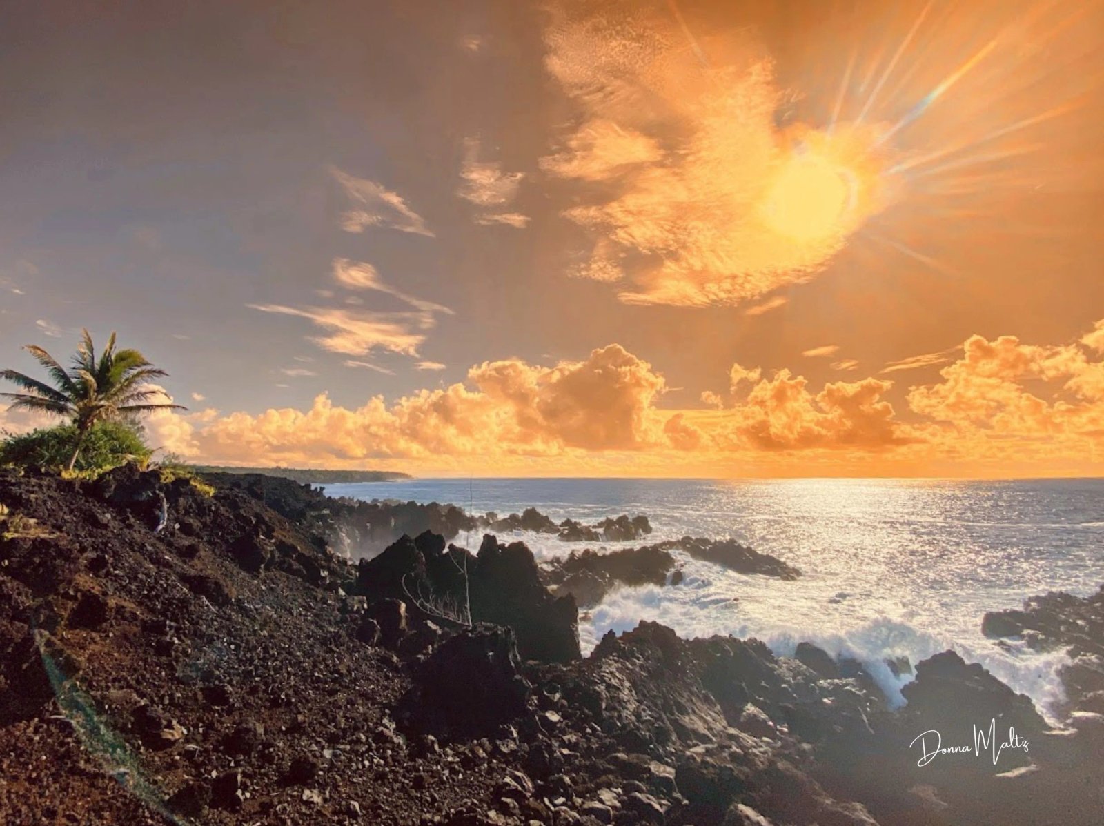 Proven Strategies to Heal Your Brain, Body, and Life from Chronic Stress