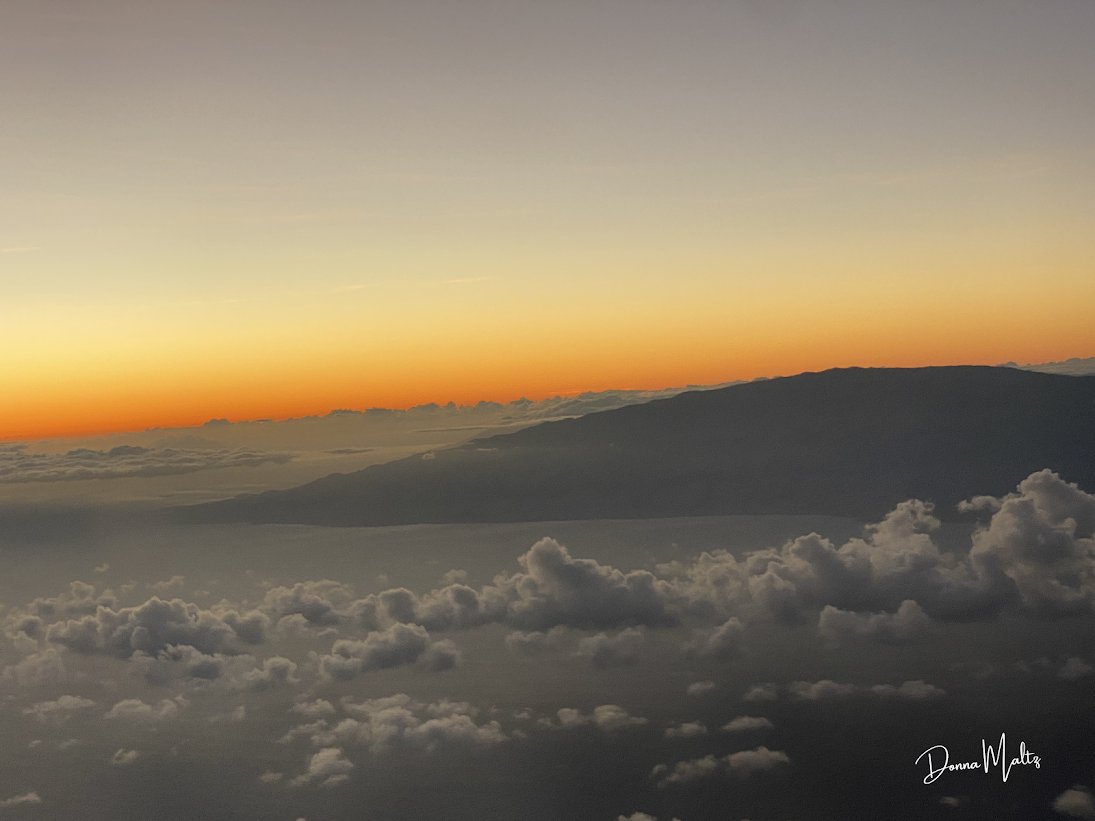 Holiday Cards-19.png