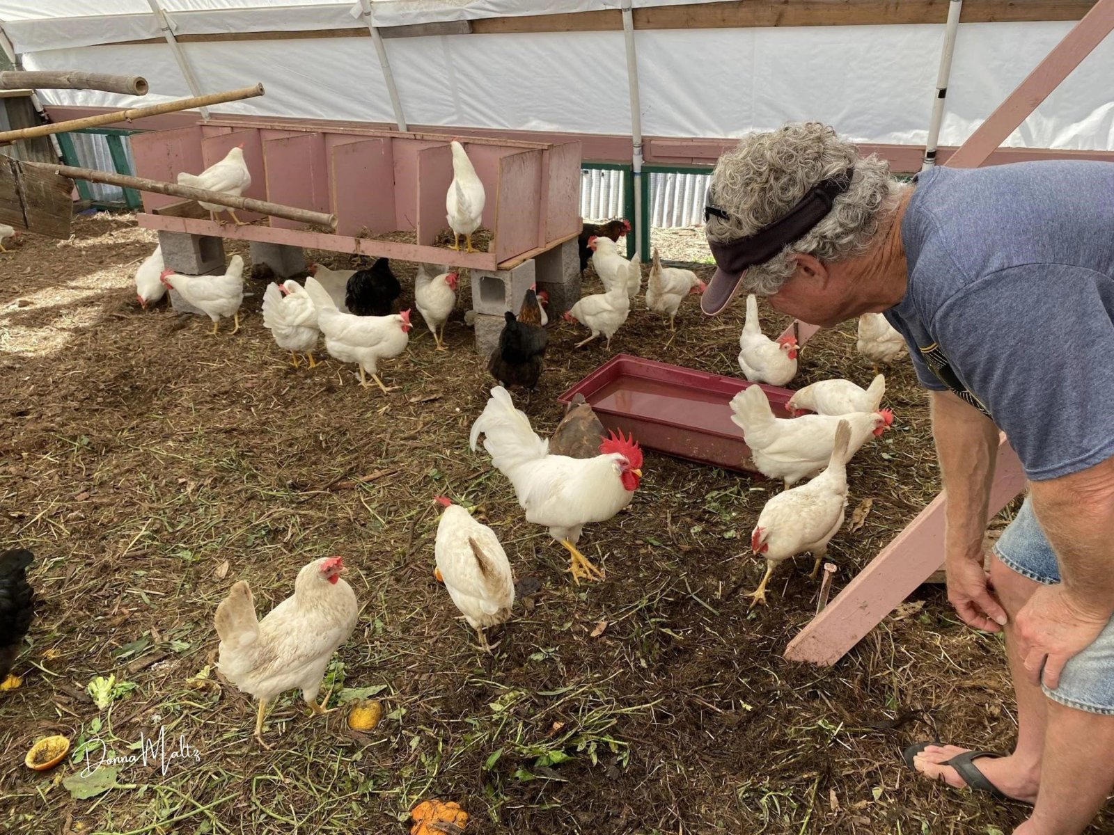 Holiday Cards (1).jpg