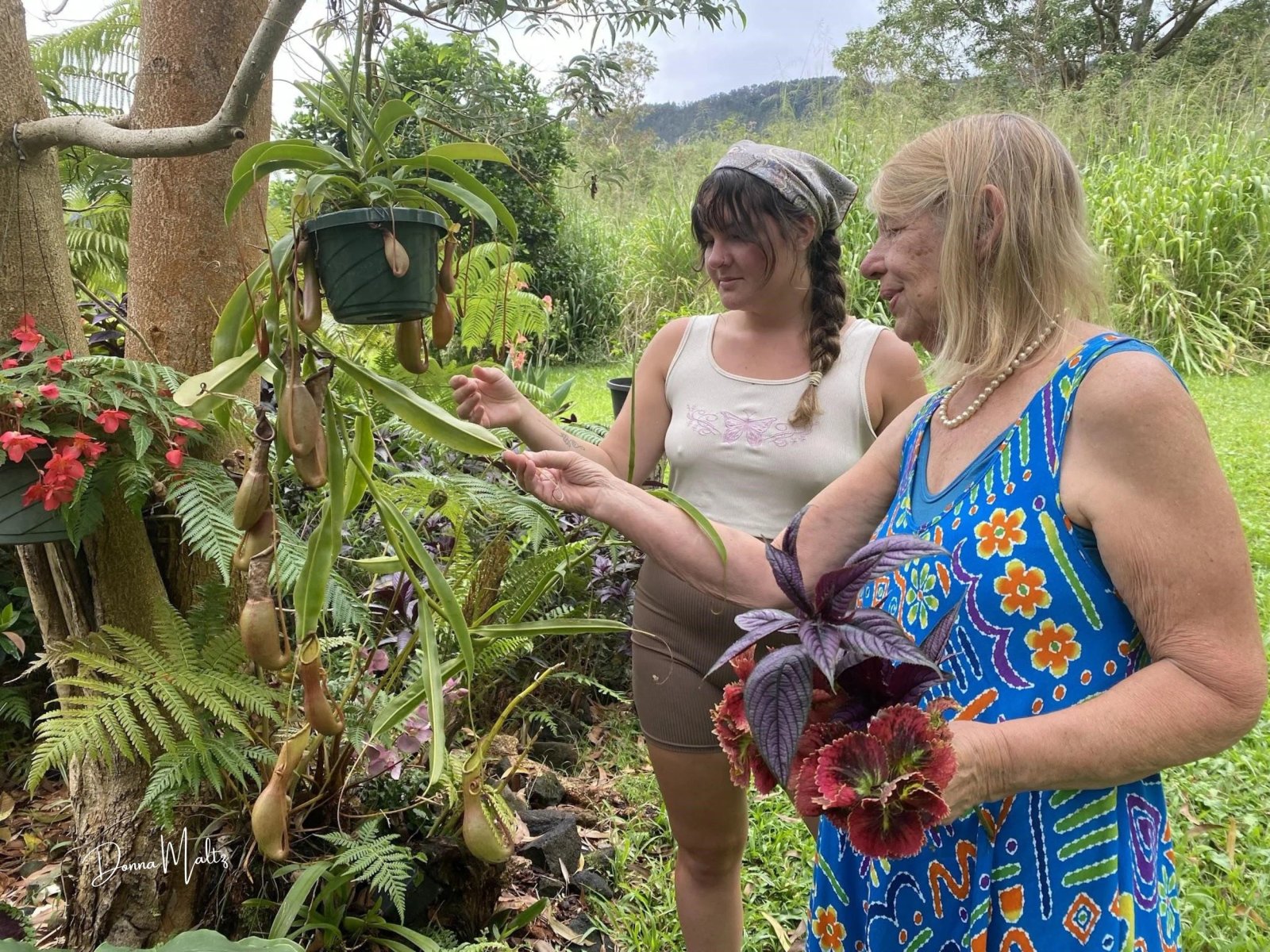 Holiday Cards (2).jpg