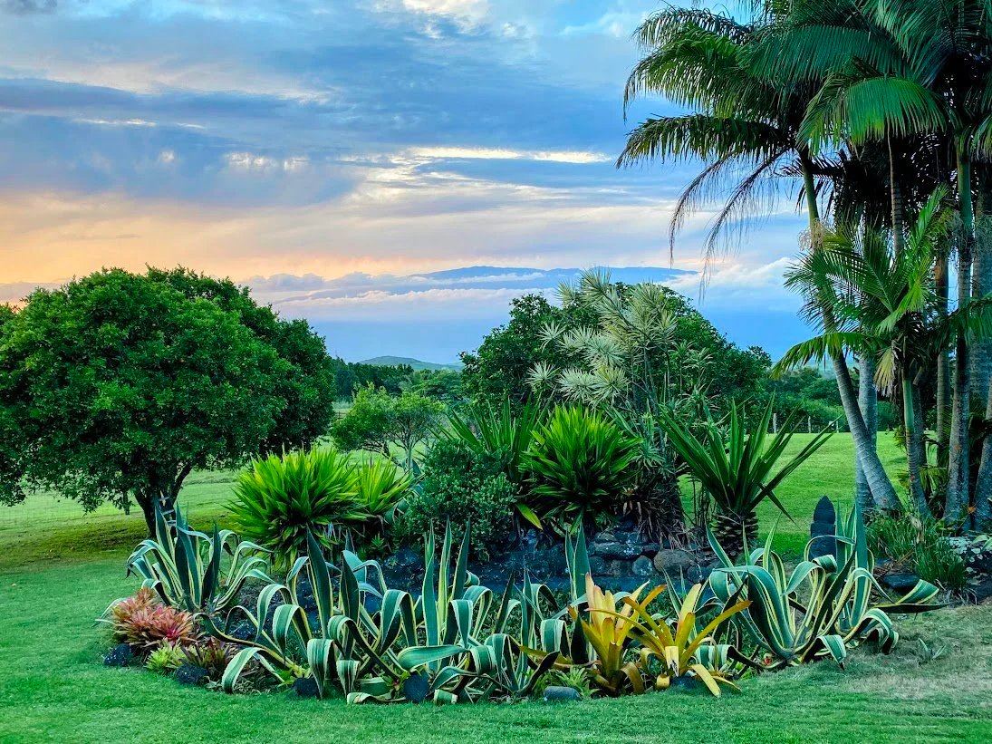 IMG_2592-EDIT (1).jpg