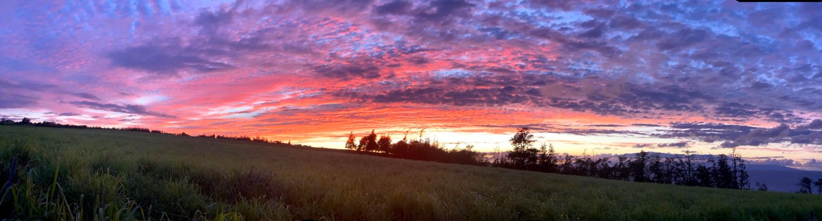 5 Simple Ways To Change Your Perspective