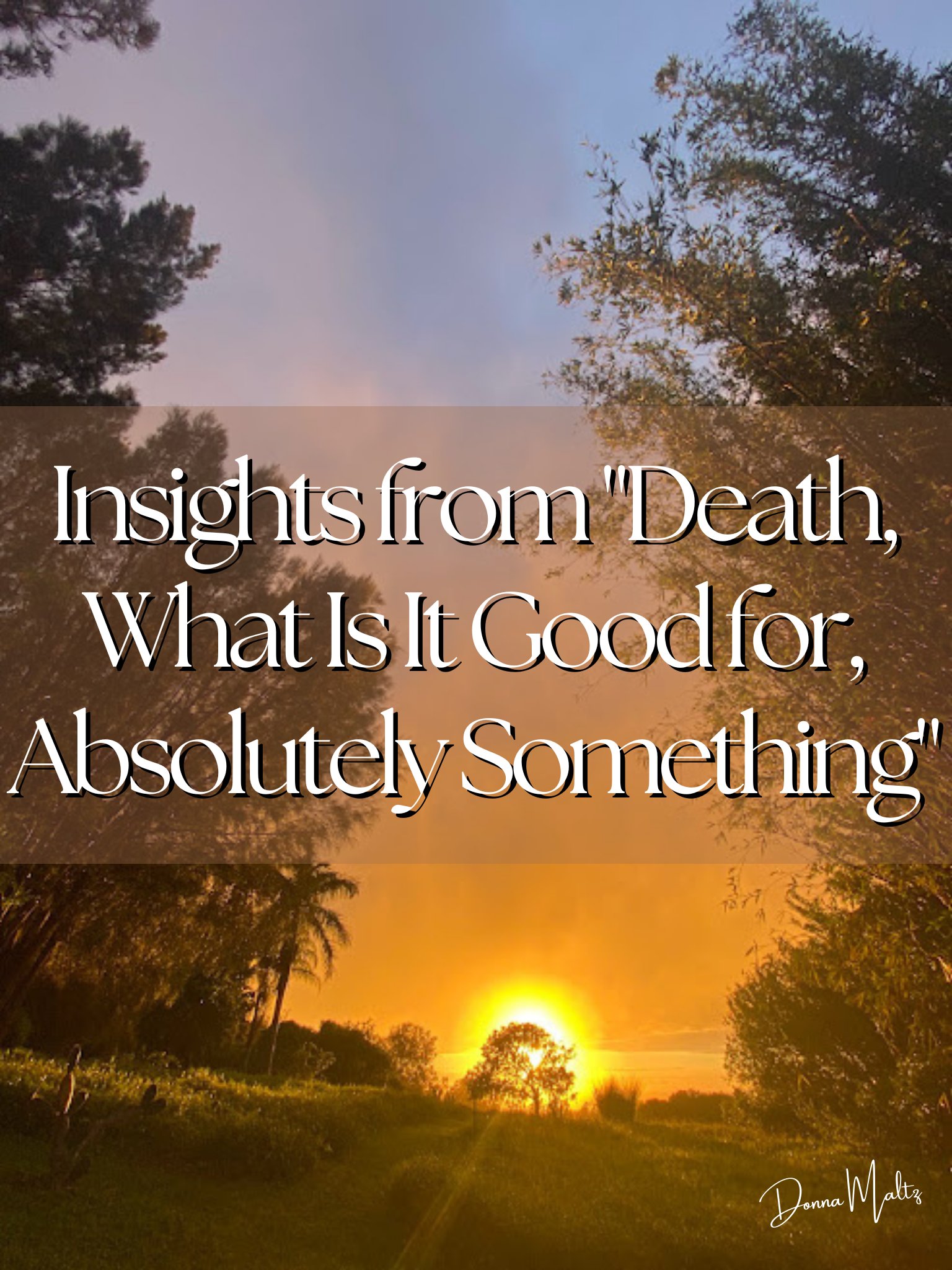 Navigating the Depths of Grief