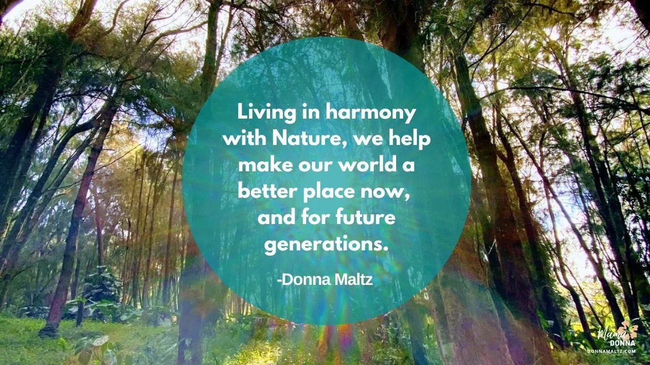 Regenerative Living to Heal and Heal the Planet: What Does it Mean?