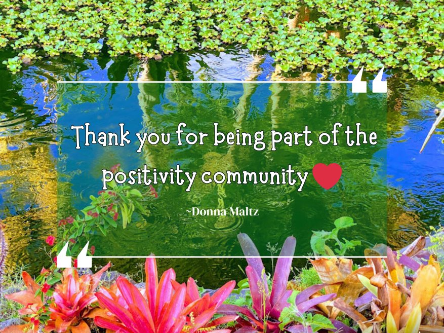 Nourishing Connections: A Guiding Light Through the Holiday Hustle