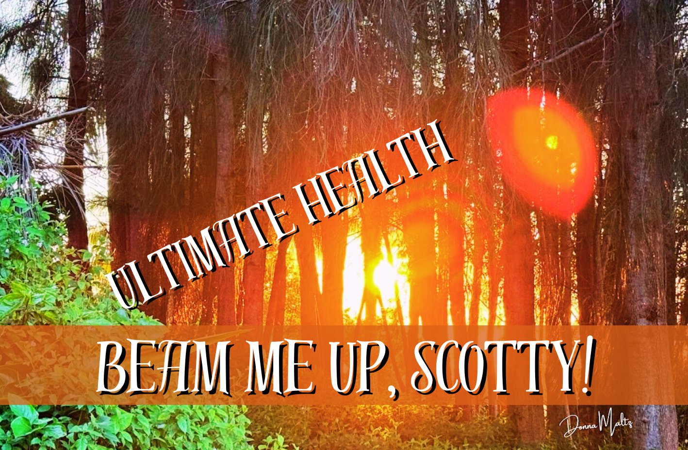 Nurturing Wellness: A Personal Journey Through Healing and BEAM