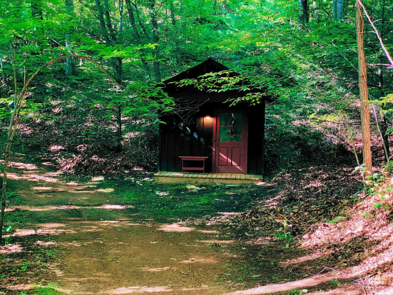 Embracing Change and the Power of Mentorship ✨