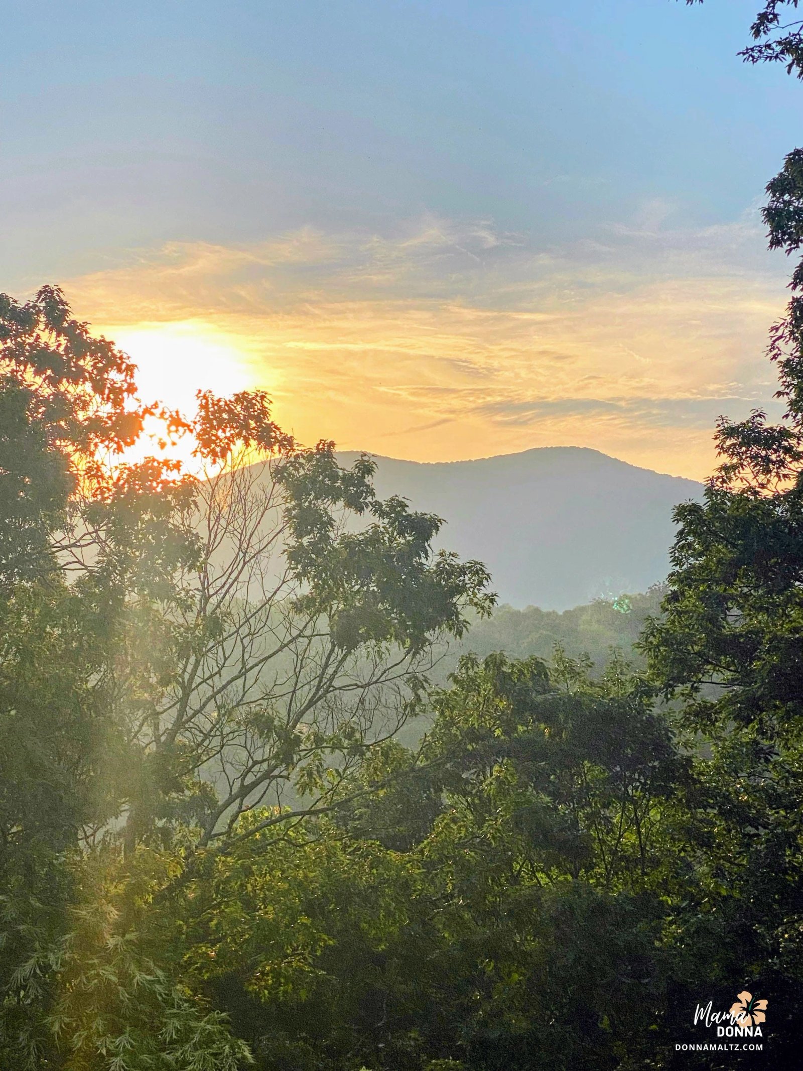 ✨My Transformative Experience at SoHum Mountain Healing Retreat✨