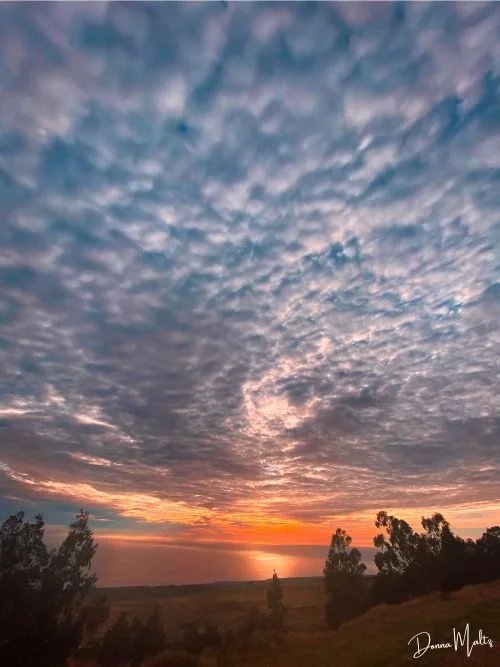 Embracing Grief: A Pathway to Healing and Growth