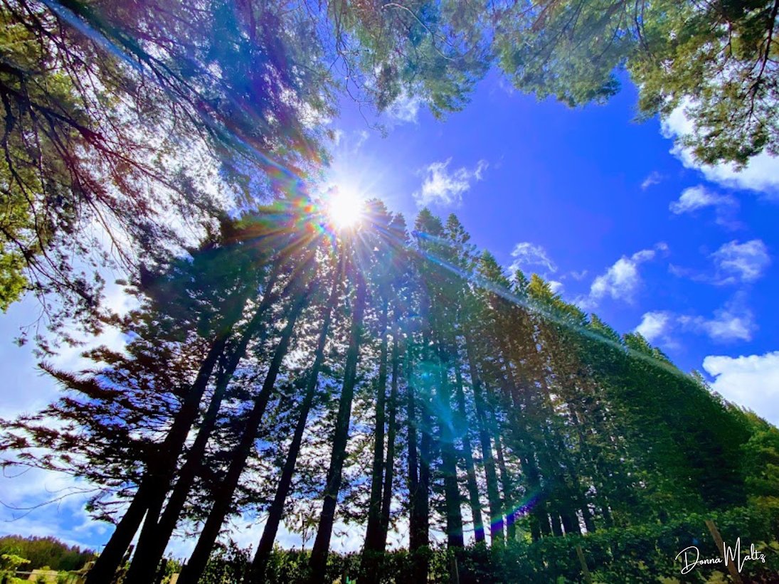 Sunset Clouds (32).png