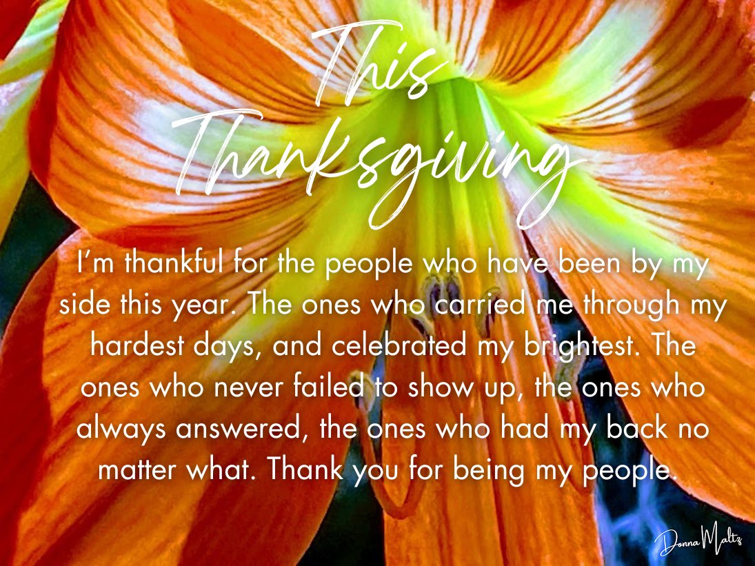 Gratitude, Love, and the True Spirit of Thanksgiving ✨