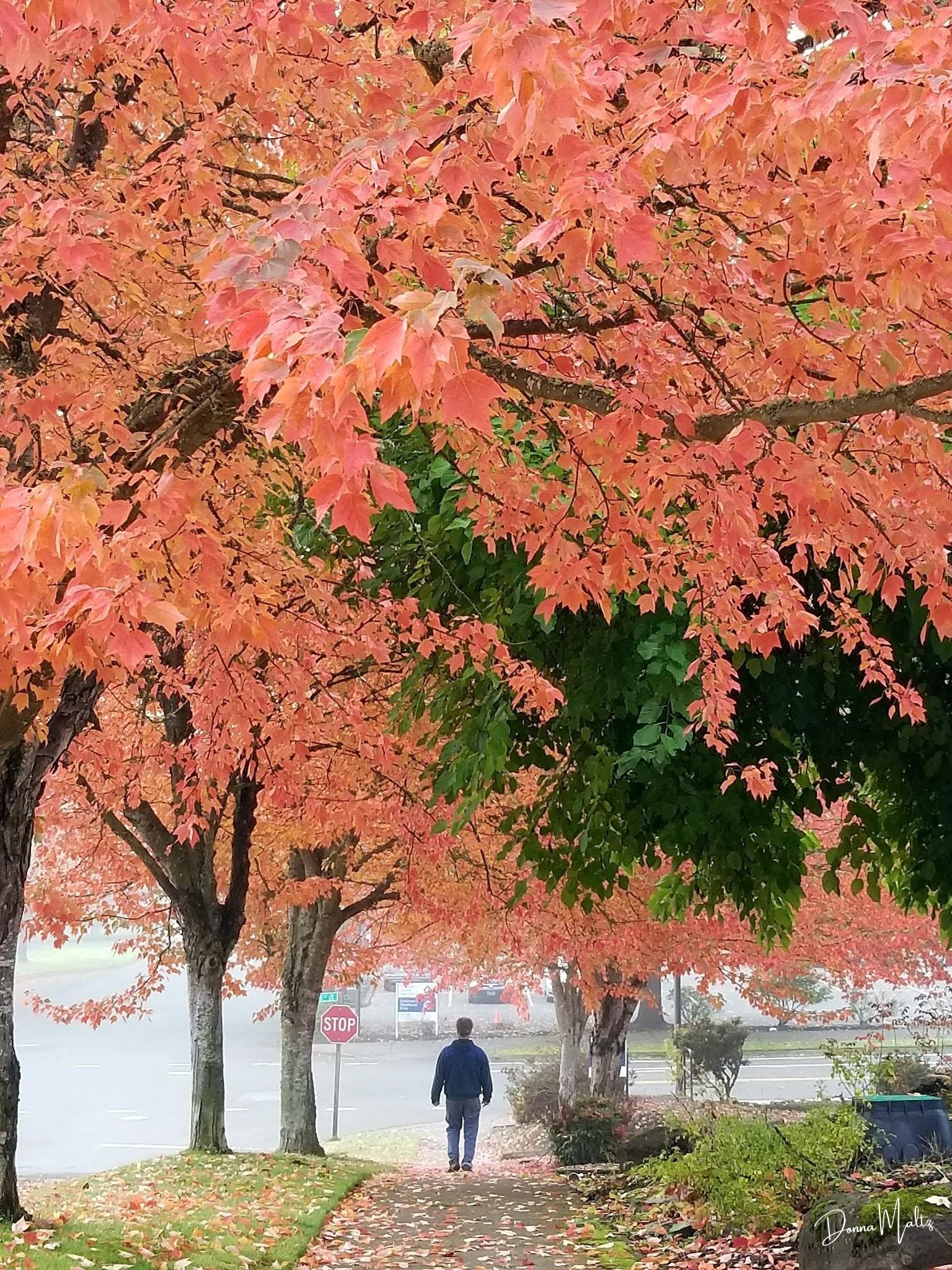 Untitled design (23).png