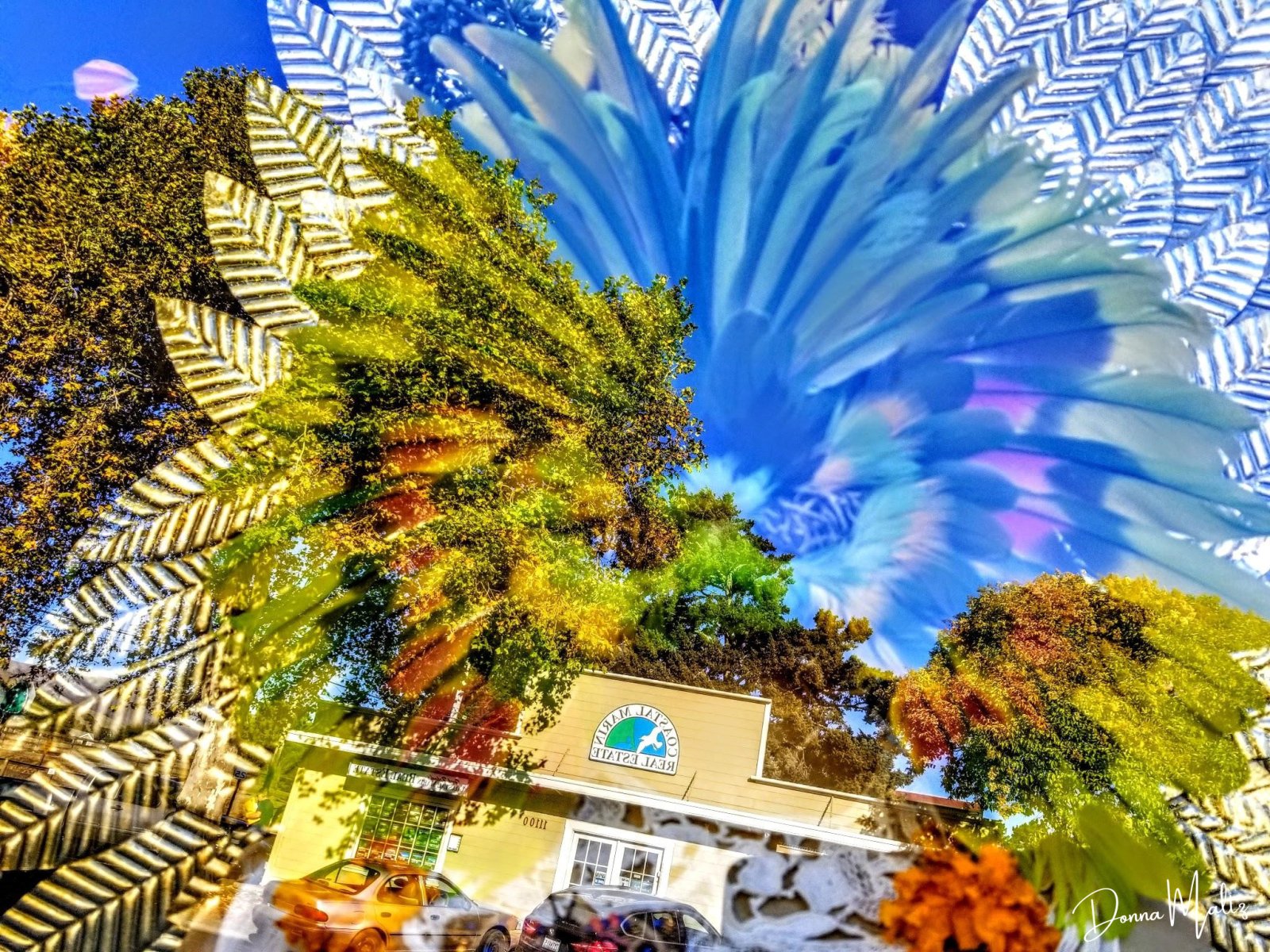 Untitled design (25).png