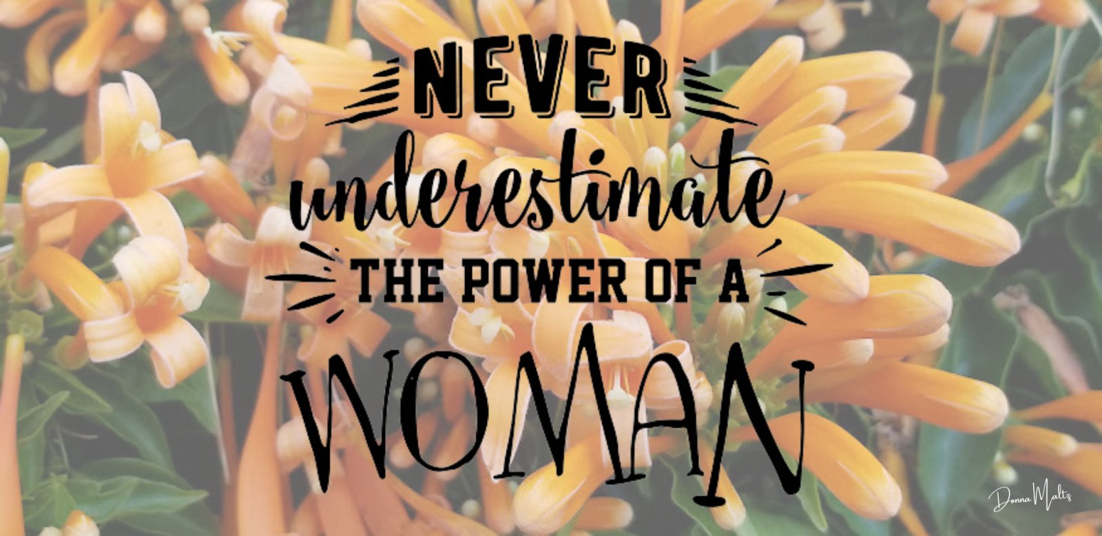 Honoring Women's Legacies