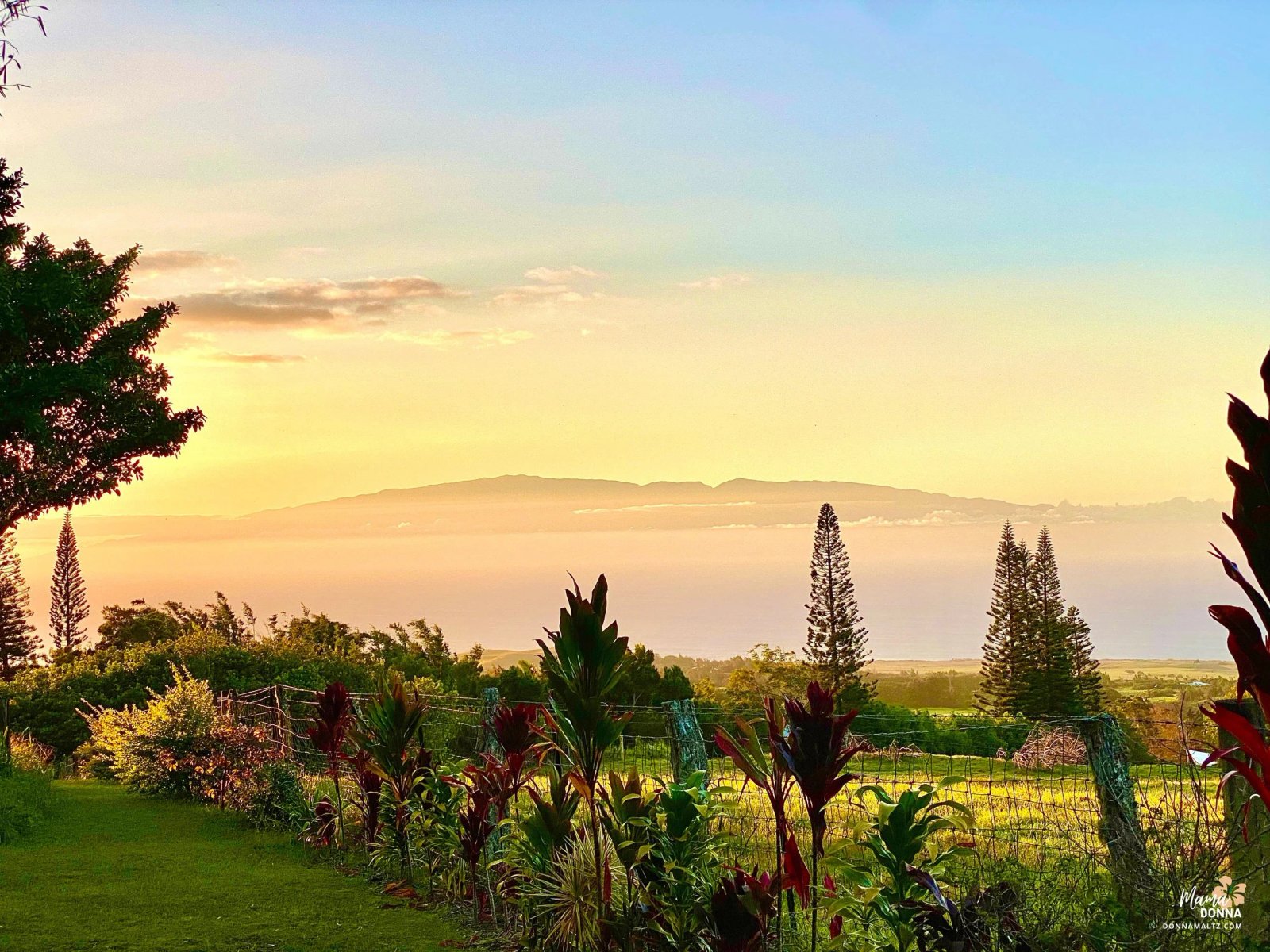 💎 The Power of Words