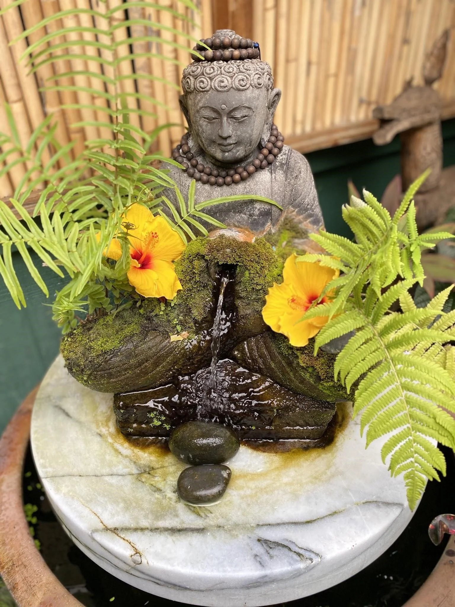 The Joy of Music Meditation and Mantras