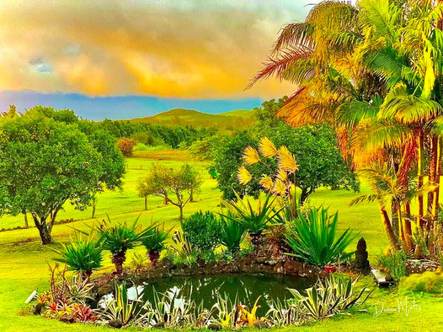 Embracing the Holiday Season: A Celebration of Love, Light, and Positivity