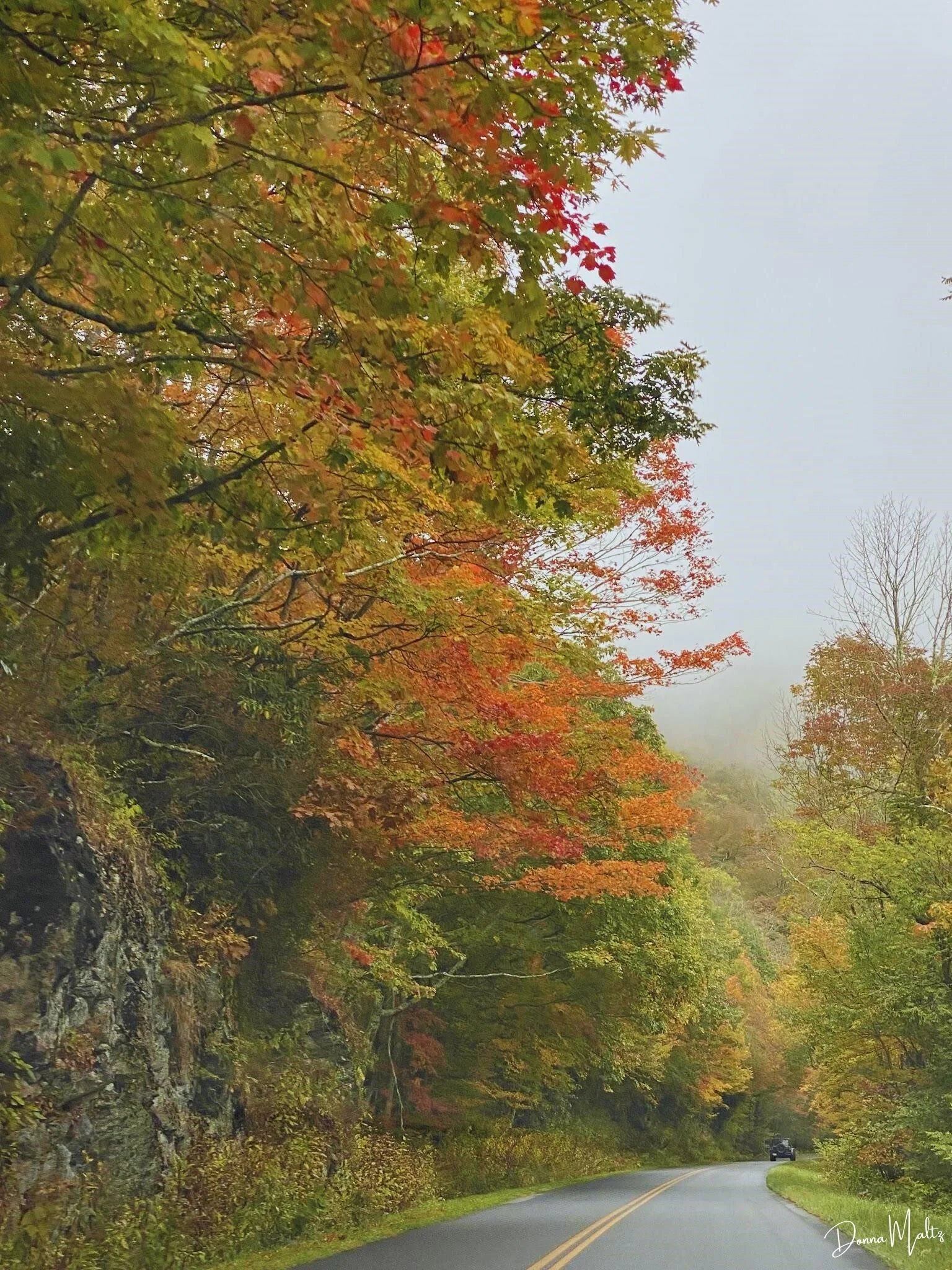 🍂 PEAKING OUT - The time is NOW