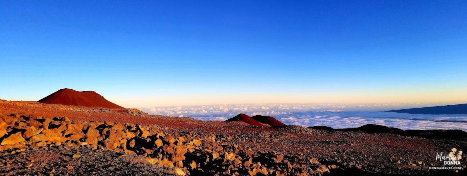 Unlocking the Power of a Healthier Home and Workplace: Tackling Body Burden