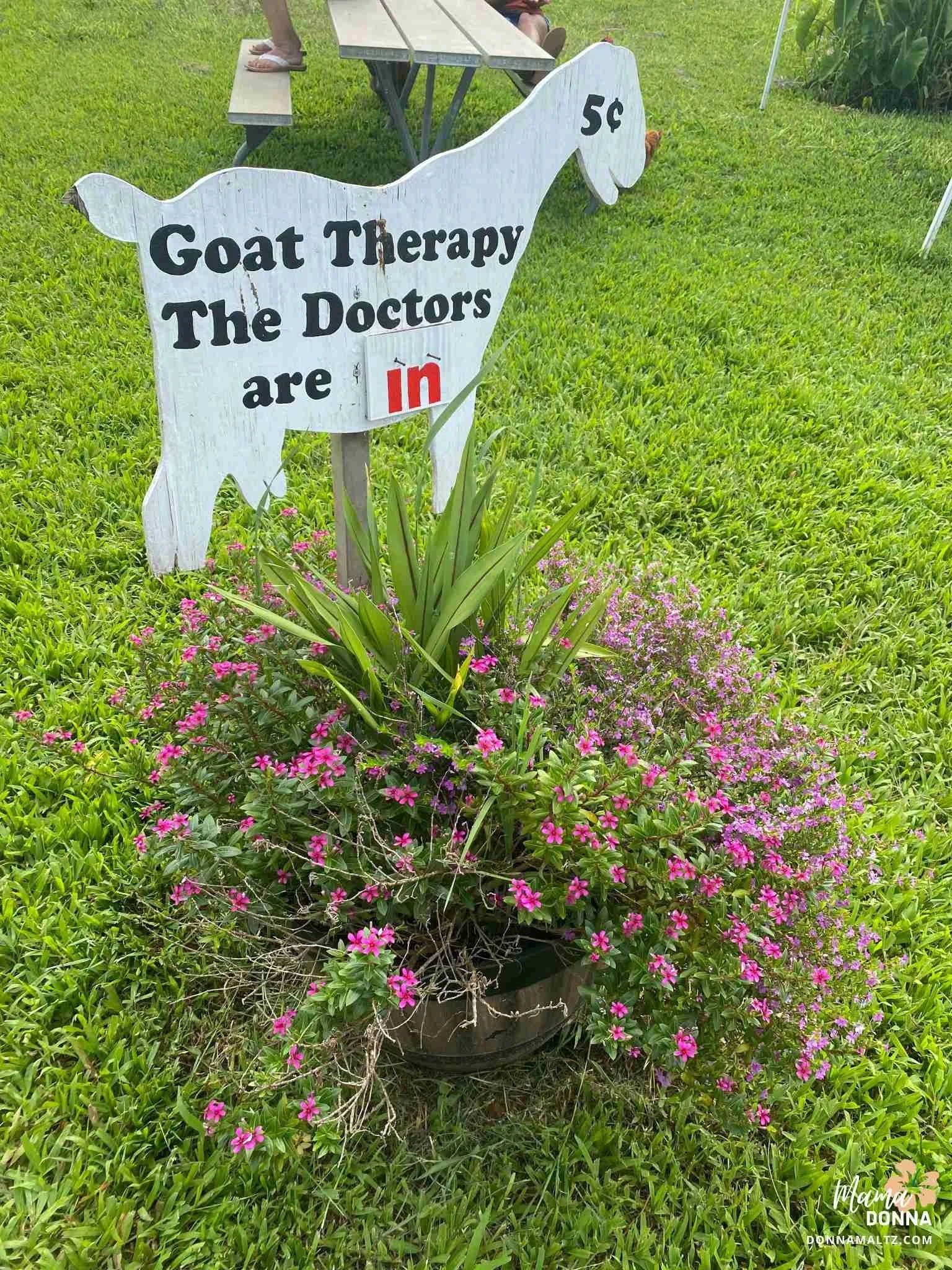 The ABCs of Healthier Living