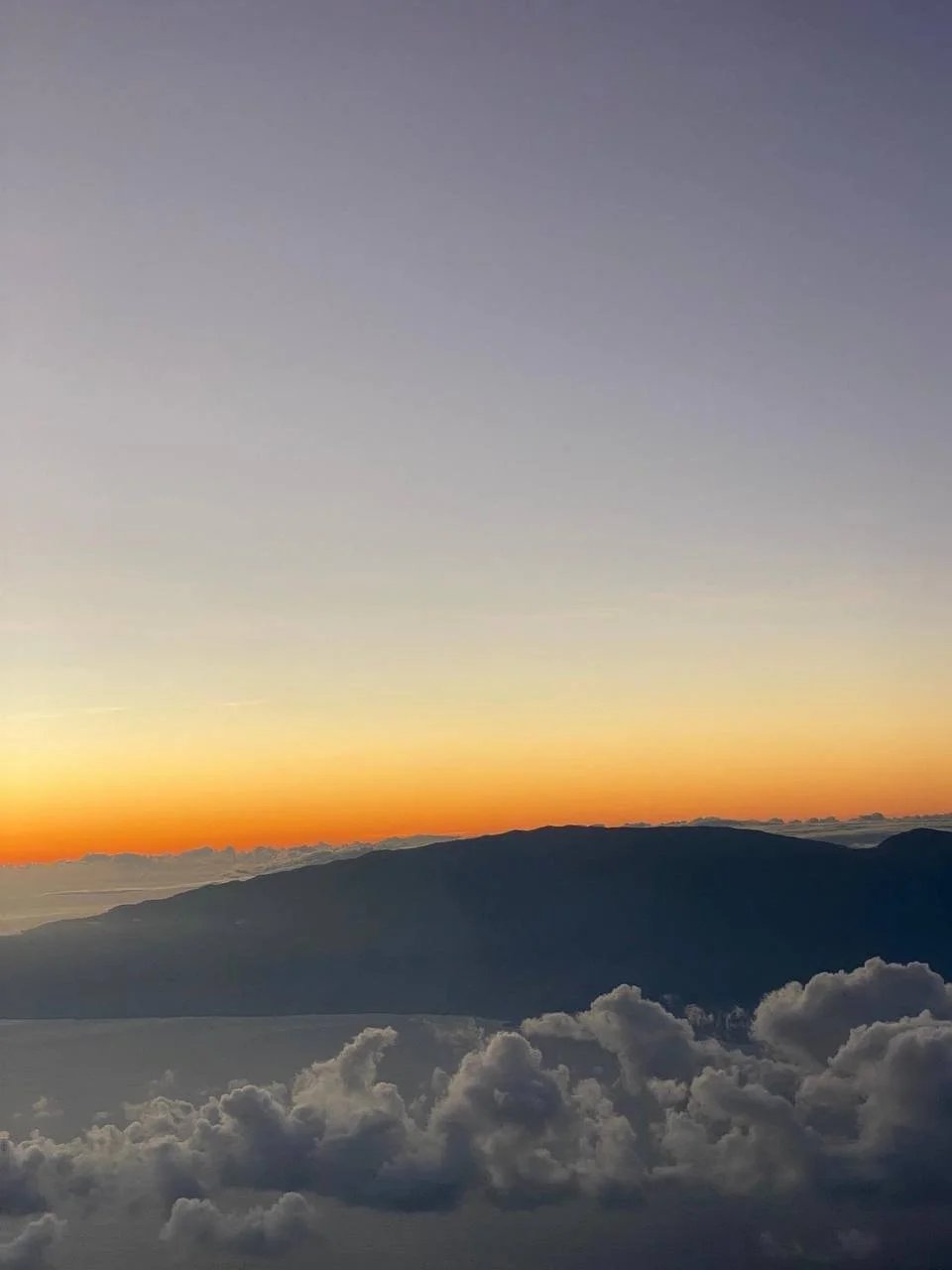 photo1692169695 (1).jpeg