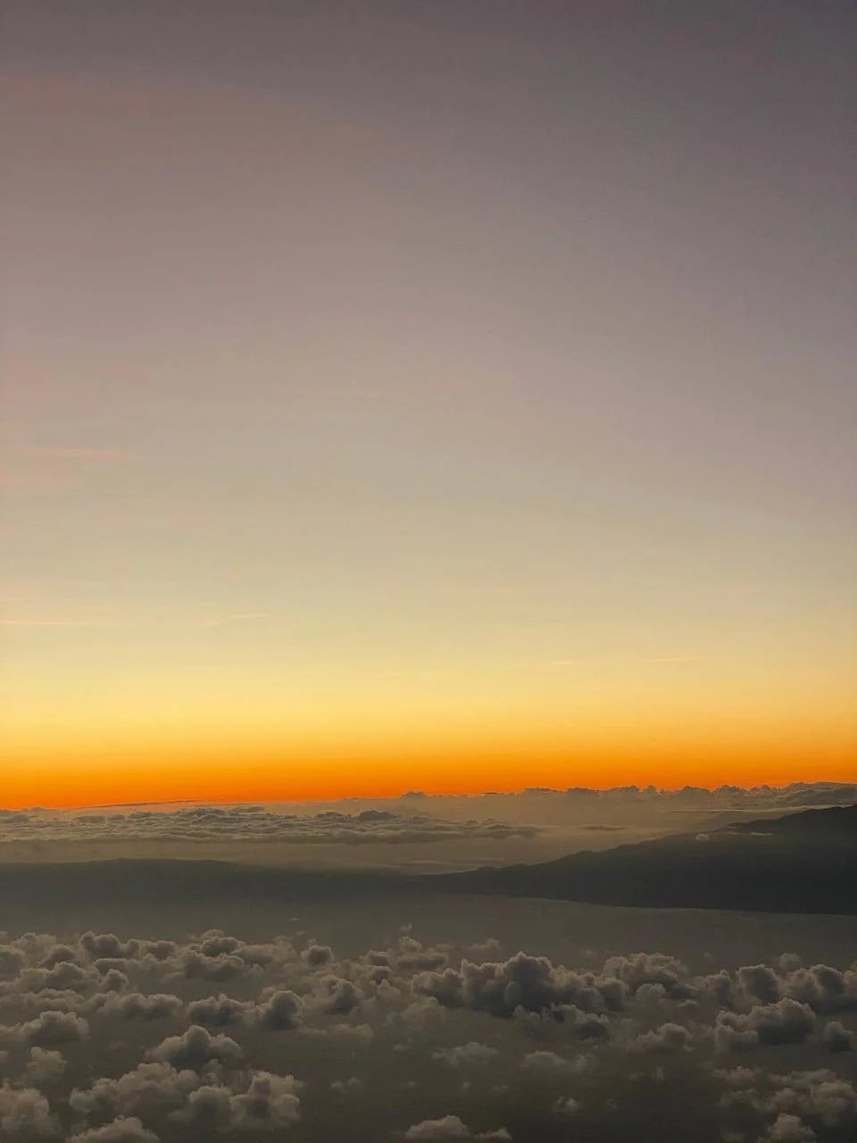 photo1692169695 (4).jpeg