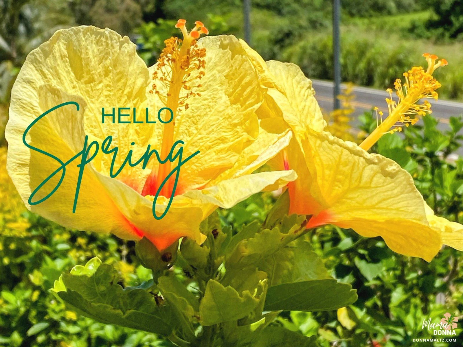 Love Thyself -  How To Be Well and Stay Well