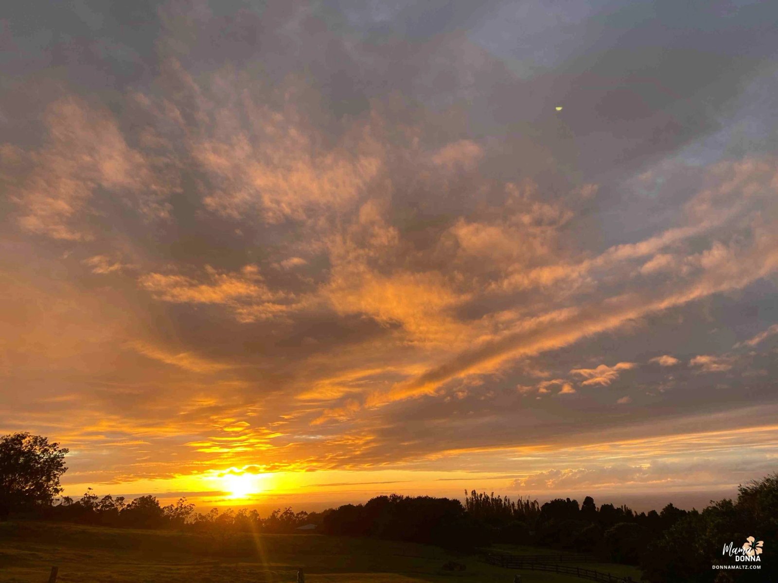 WHY End-of-Life Plans?