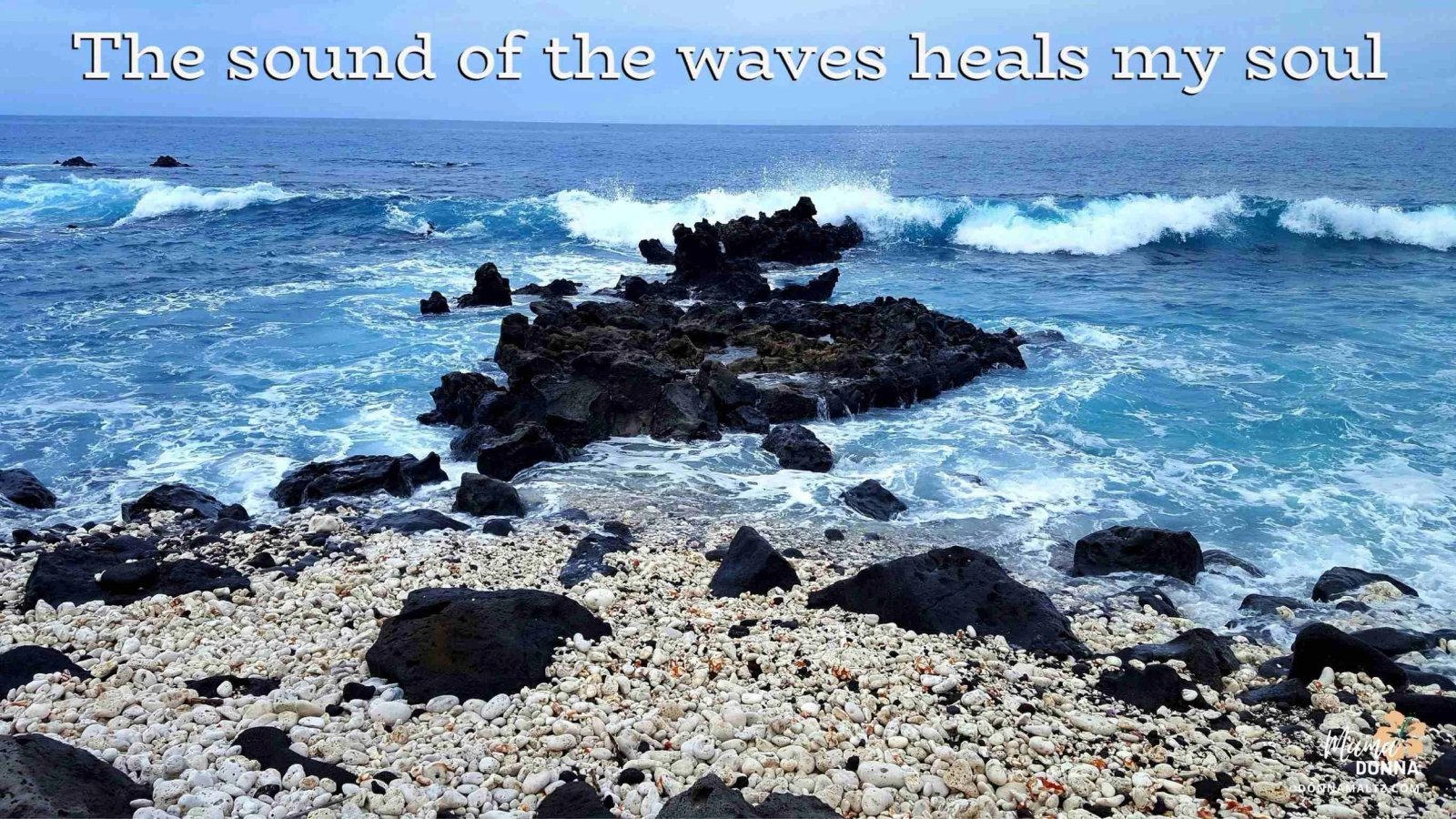 🥦Recommended Foods for Diabetes, some that you might not have heard of!