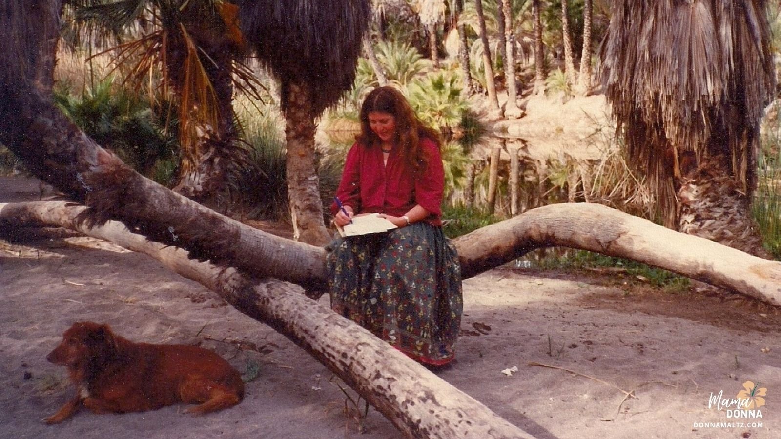 Blog Image