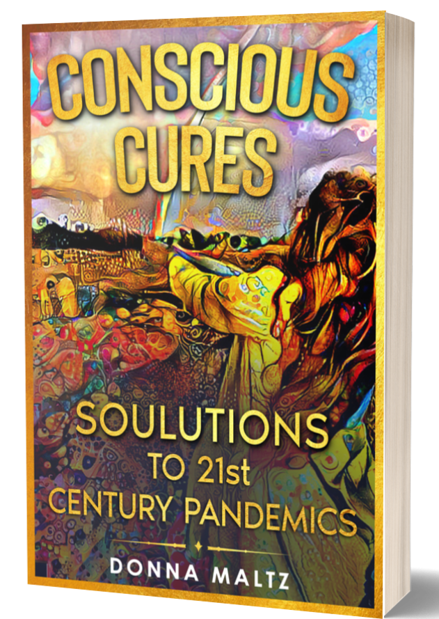 Conscious Cures book on toxicity