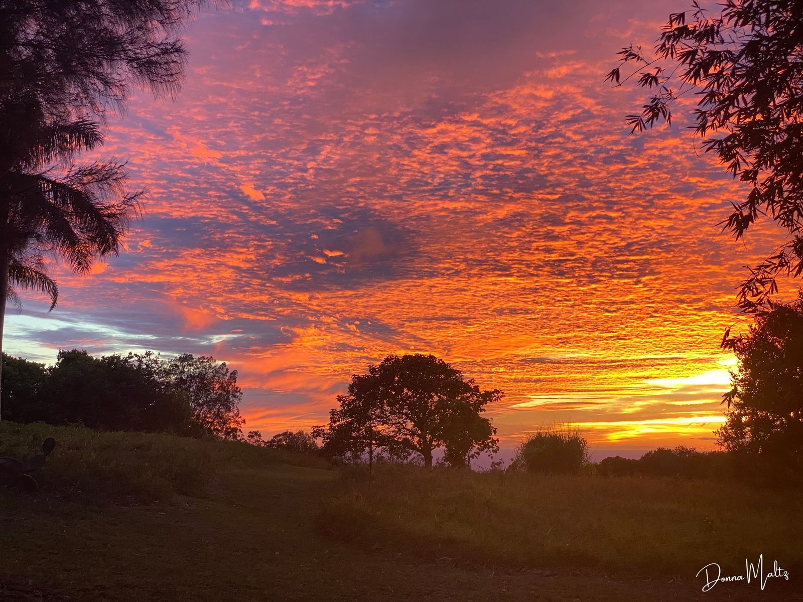 Serene sunset over nature