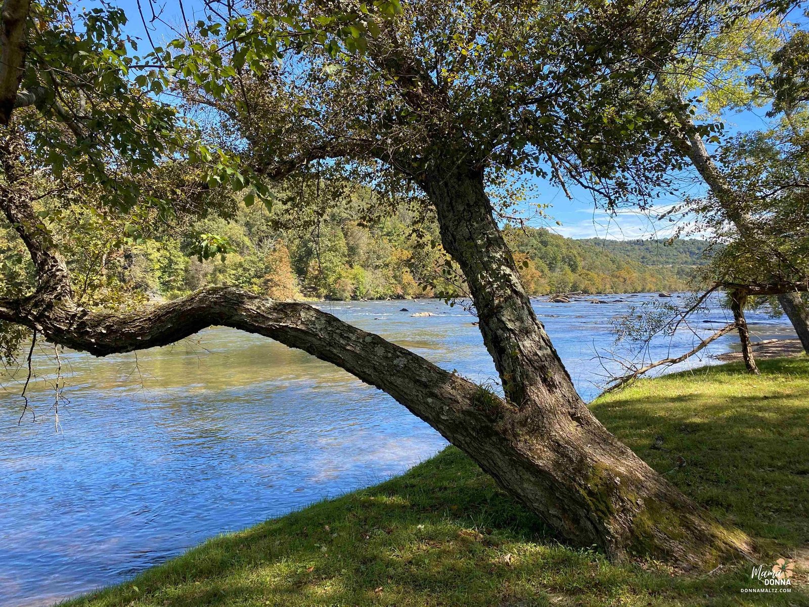 Nature enhances mental health and well-being