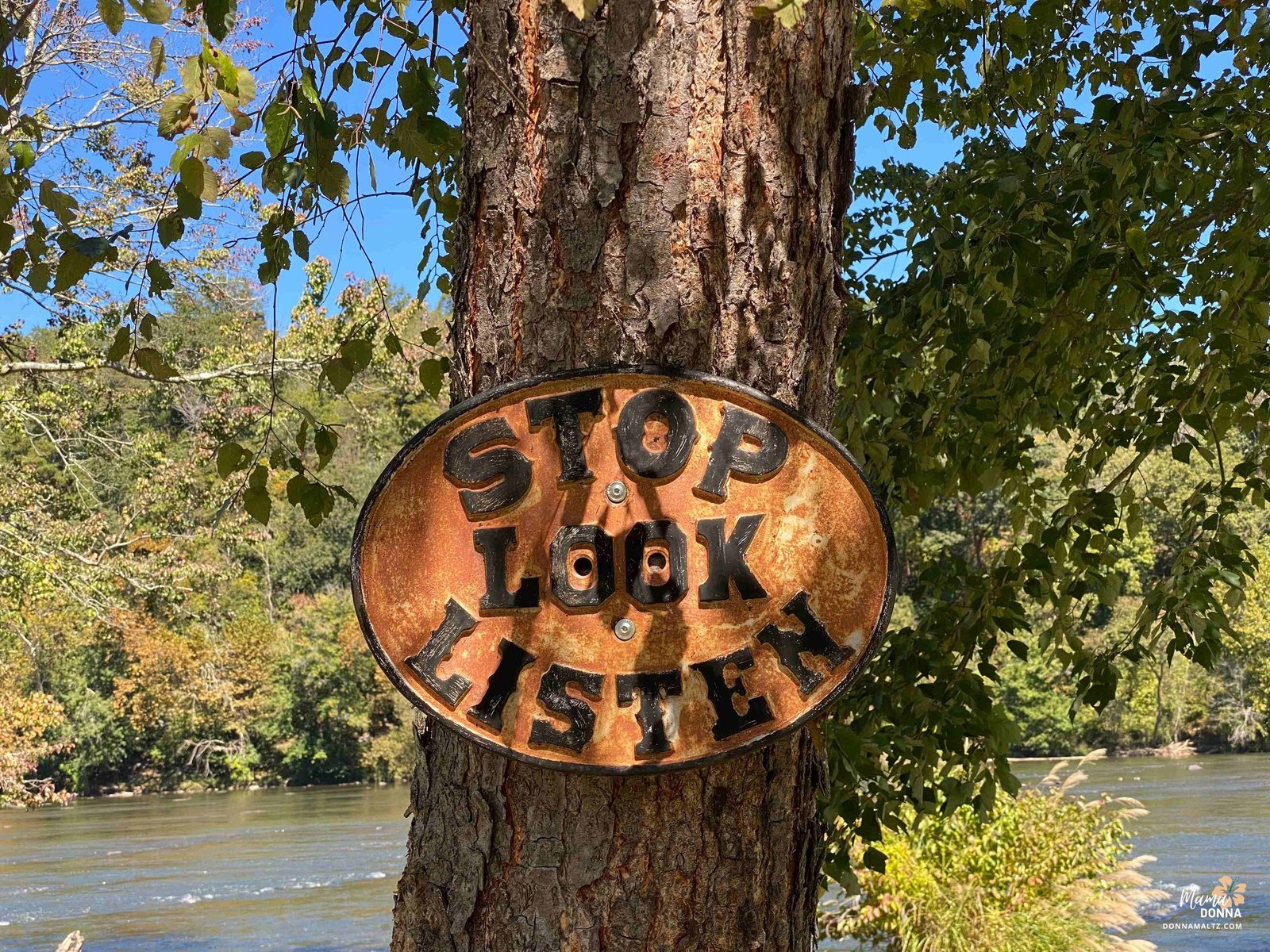 Stop, look, and listen in nature