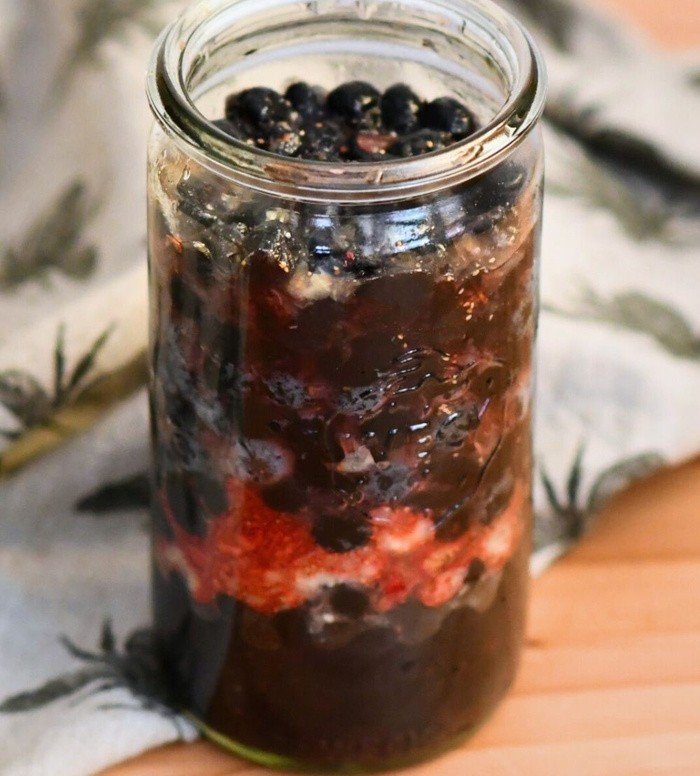 Fermented Wild Berries & Fruits